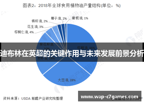 迪布林在英超的关键作用与未来发展前景分析 迪布林在英超的关键作用与未来发展前景分析